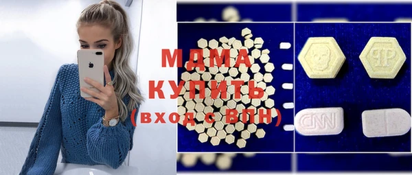 дживик Ельня