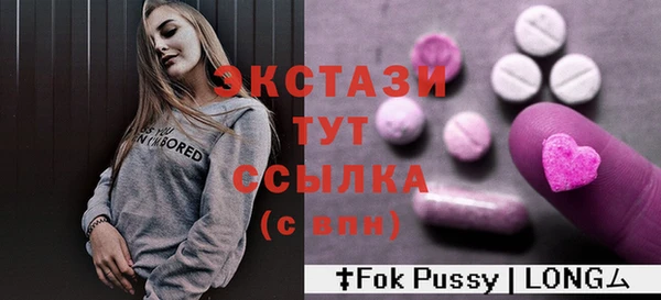 дживик Ельня