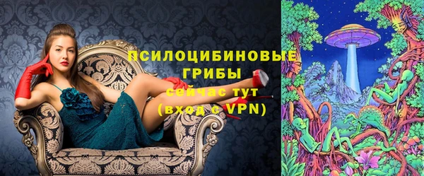дживик Ельня