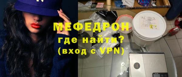 дживик Ельня