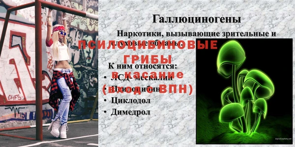 стаф Елабуга