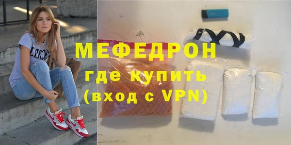 дживик Ельня