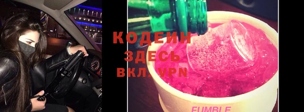 стаф Елабуга