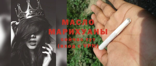 дживик Ельня