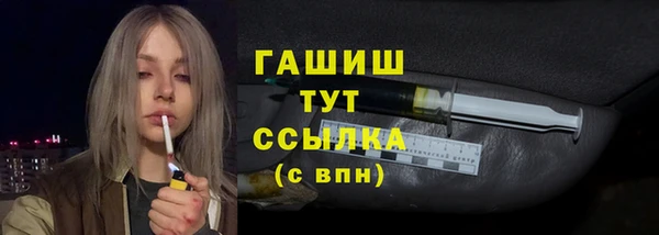 дживик Ельня