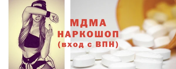 дживик Ельня