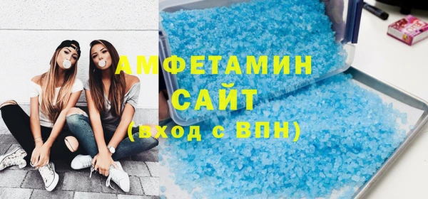 дживик Ельня