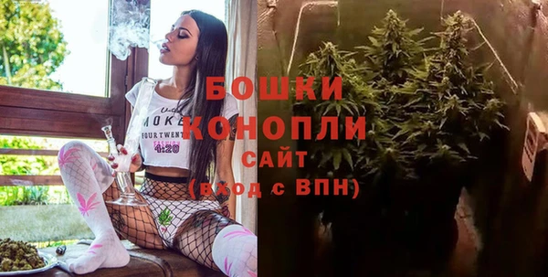тгк Елизово