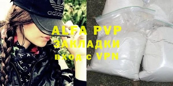 дживик Ельня