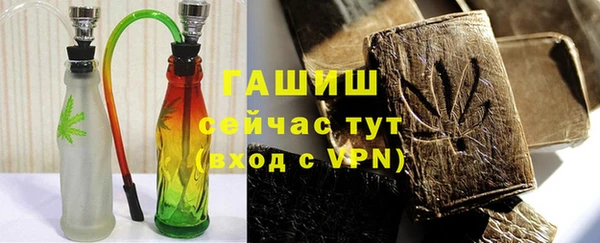 дживик Ельня