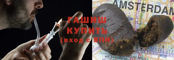 дживик Ельня