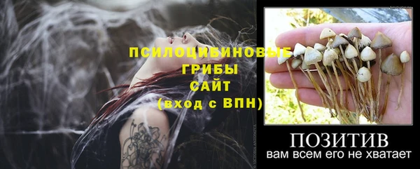 тгк Елизово