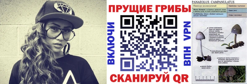 Купить закладки Пыть-Ях Галлюциногенные грибы ЛСД