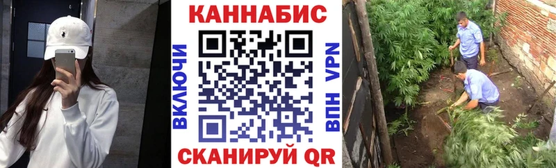 Купить  Пыть-Ях  Канабис планчик 